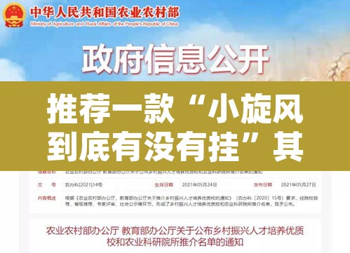 推荐一款“小旋风到底有没有挂”其实确实有挂