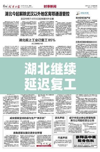 湖北继续延迟复工›湖北企业延迟开工通知