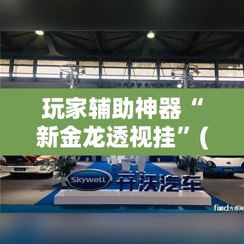 玩家辅助神器“新金龙透视挂	”(透视)其实确实有挂