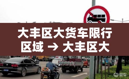 大丰区大货车限行区域 → 大丰区大货车限行区域图