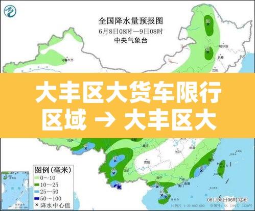 大丰区大货车限行区域 → 大丰区大货车限行区域图
