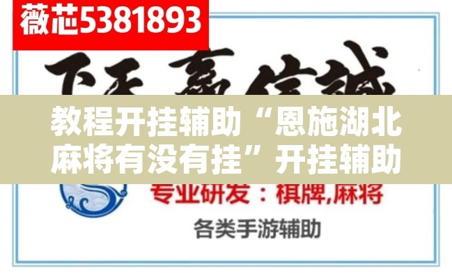 教程开挂辅助“恩施湖北麻将有没有挂	”开挂辅助脚本+详细开挂安装教程