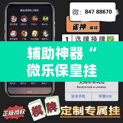 辅助神器“微乐保皇挂”(透视)其实确实有挂