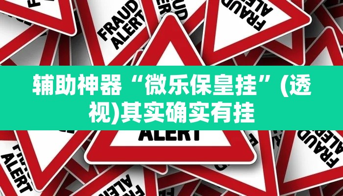 辅助神器“微乐保皇挂”(透视)其实确实有挂