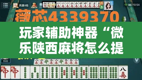 玩家辅助神器“微乐陕西麻将怎么提高胜率”附辅助神器开挂脚本详细步骤