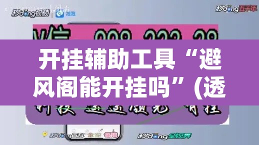 开挂辅助工具“避风阁能开挂吗”(透视挂)辅助透视教程