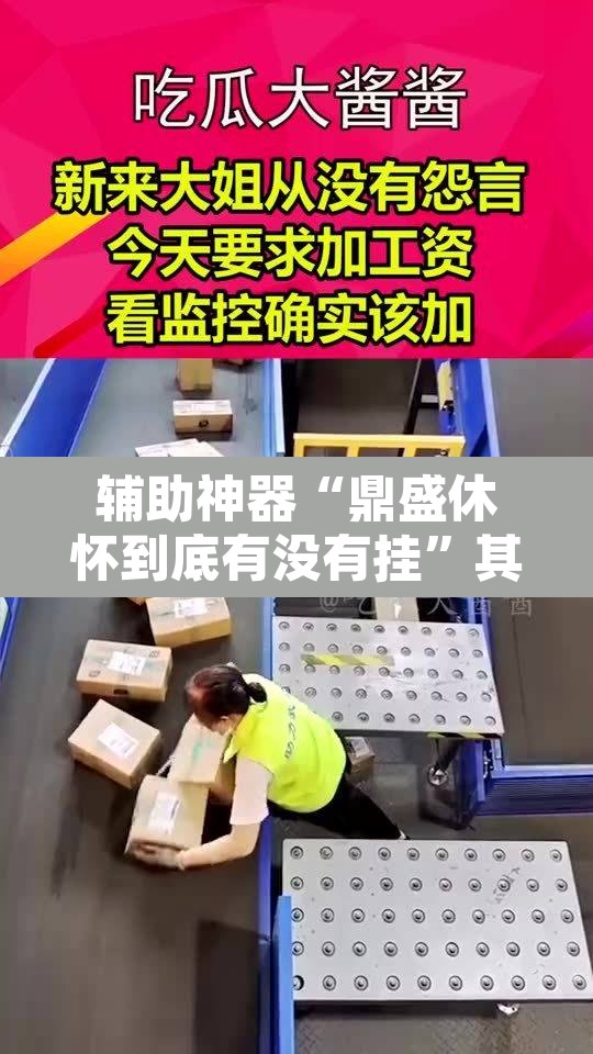 辅助神器“鼎盛休怀到底有没有挂”其实确实有挂