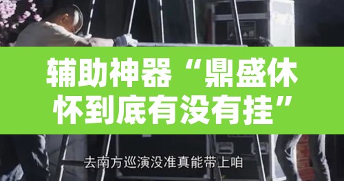 辅助神器“鼎盛休怀到底有没有挂	”其实确实有挂