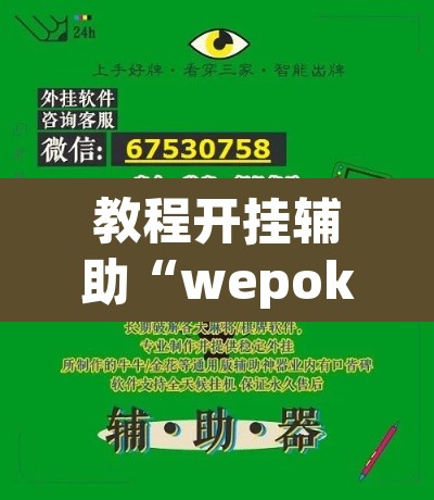 教程开挂辅助“wepokerplus德州透视挂”(透视挂)辅助透视教程
