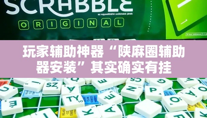 玩家辅助神器“陕麻圈辅助器安装	”其实确实有挂