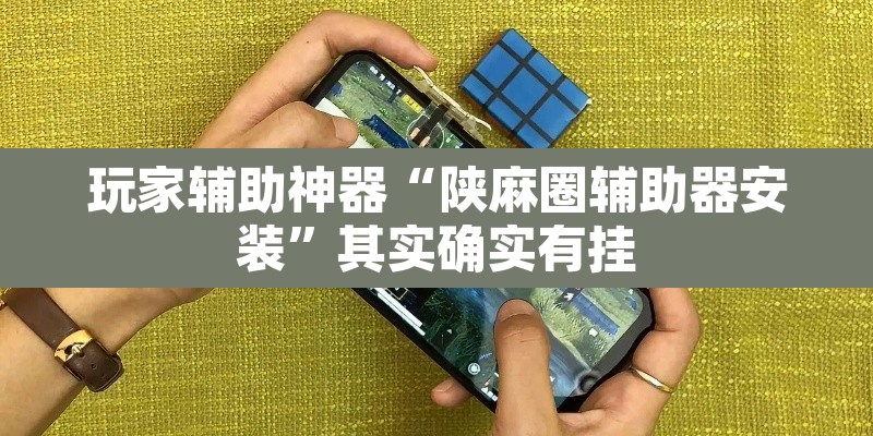 玩家辅助神器“陕麻圈辅助器安装”其实确实有挂