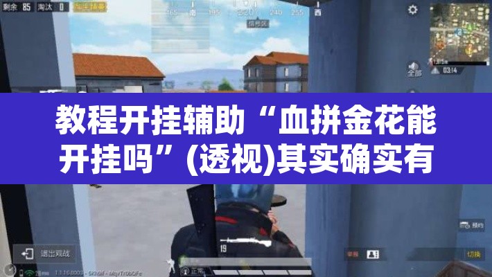 教程开挂辅助“血拼金花能开挂吗”(透视)其实确实有挂