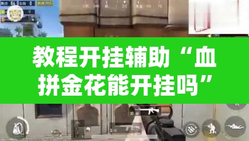教程开挂辅助“血拼金花能开挂吗”(透视)其实确实有挂