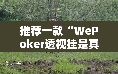 推荐一款“WePoker透视挂是真的假的	”(透视)其实确实有挂