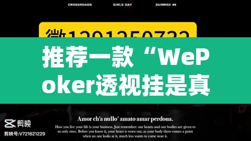 推荐一款“WePoker透视挂是真的假的”(透视)其实确实有挂