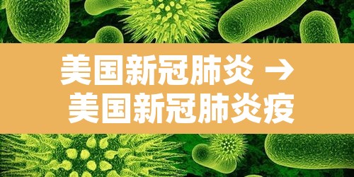 美国新冠肺炎 → 美国新冠肺炎疫情