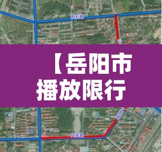 【岳阳市播放限行区域·2020岳阳限行规定】