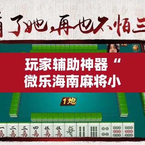 玩家辅助神器“微乐海南麻将小程序必赢神器	”(透视挂)辅助透视教程