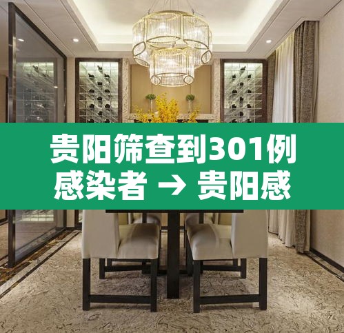 贵阳筛查到301例感染者 → 贵阳感染病例