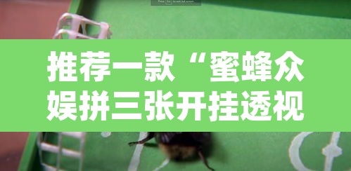 推荐一款“蜜蜂众娱拼三张开挂透视”(透视)其实确实有挂