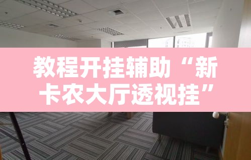 教程开挂辅助“新卡农大厅透视挂	”其实确实有挂