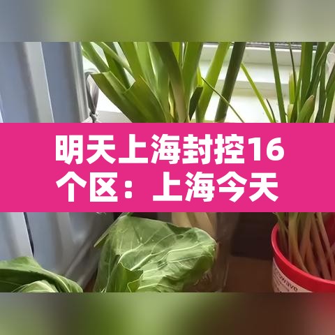 明天上海封控16个区：上海今天又要封小区门了吗