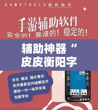 辅助神器“皮皮衡阳字牌怎么开挂”开挂辅助脚本+详细开挂安装教程