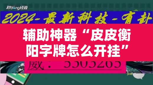 辅助神器“皮皮衡阳字牌怎么开挂	”开挂辅助脚本+详细开挂安装教程