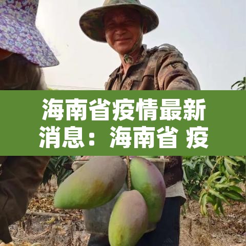 海南省疫情最新消息：海南省 疫情