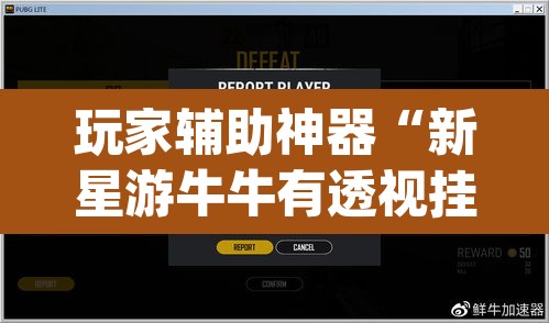 玩家辅助神器“新星游牛牛有透视挂吗”(透视挂)辅助透视教程