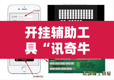 开挂辅助工具“讯奇牛牛有没有人装挂”(透视挂)辅助透视教程