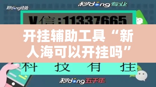 开挂辅助工具“新人海可以开挂吗	”其实确实有挂