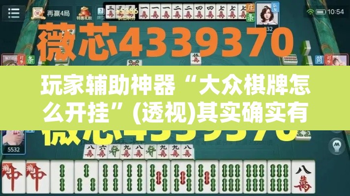 玩家辅助神器“大众棋牌怎么开挂”(透视)其实确实有挂