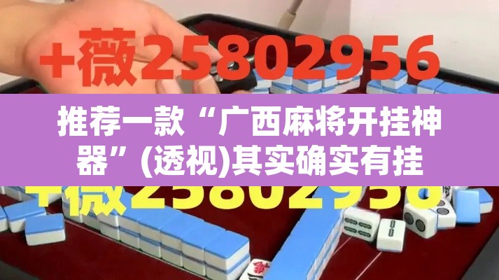 推荐一款“广西麻将开挂神器”(透视)其实确实有挂