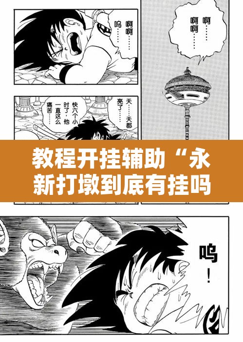 教程开挂辅助“永新打墩到底有挂吗”其实确实有挂