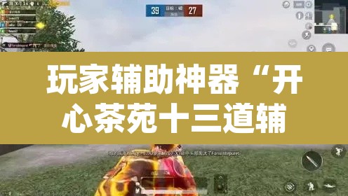玩家辅助神器“开心茶苑十三道辅助开挂”(透视挂)辅助透视教程