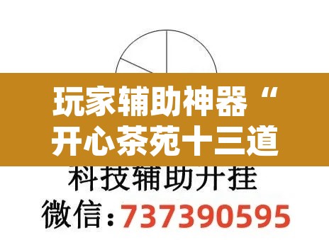 玩家辅助神器“开心茶苑十三道辅助开挂”(透视挂)辅助透视教程