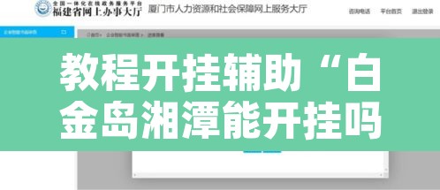 教程开挂辅助“白金岛湘潭能开挂吗”开挂辅助脚本+详细开挂安装教程