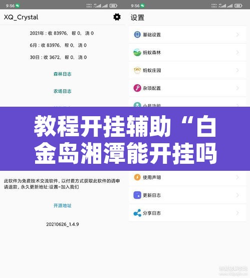 教程开挂辅助“白金岛湘潭能开挂吗”开挂辅助脚本+详细开挂安装教程