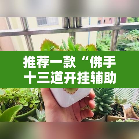 推荐一款“佛手十三道开挂辅助软件”其实确实有挂
