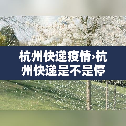 杭州快递疫情›杭州快递是不是停运了