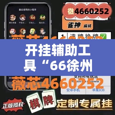 开挂辅助工具“66徐州麻将开挂神器下载”附辅助神器开挂脚本详细步骤