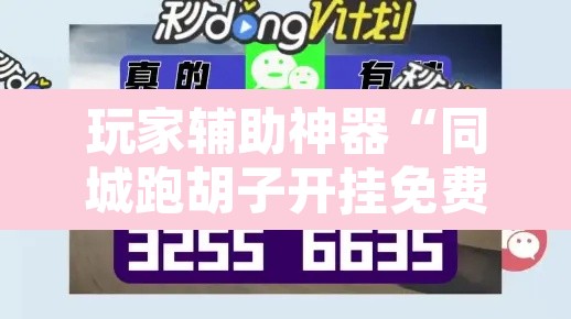 玩家辅助神器“同城跑胡子开挂免费软件”开挂辅助脚本+详细开挂安装教程