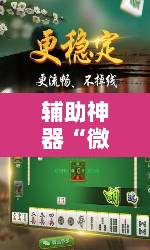 辅助神器“微乐江苏麻将万能开挂器通用版	”其实确实有挂