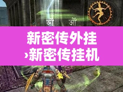 新密传外挂›新密传挂机