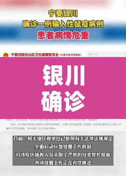银川确诊输入性鼠疫患者病情危重：银川市确诊1例输入性鼠疫病例