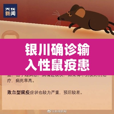 银川确诊输入性鼠疫患者病情危重：银川市确诊1例输入性鼠疫病例