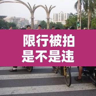 限行被拍是不是违章›限行被拍是不是违反禁令标志