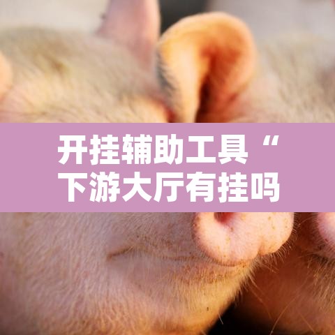 开挂辅助工具“下游大厅有挂吗”其实确实有挂