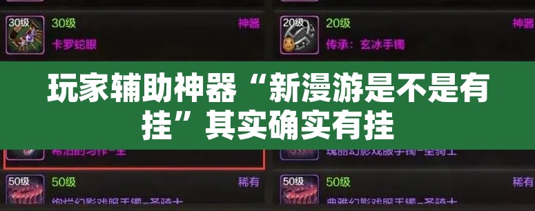 玩家辅助神器“新漫游是不是有挂”其实确实有挂